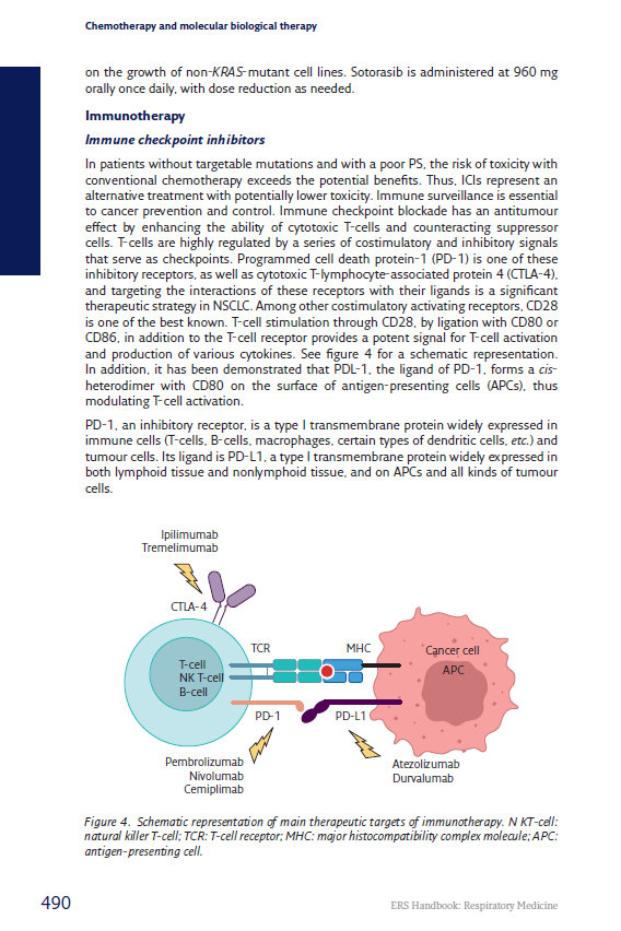 Illustrative page showing text and figure