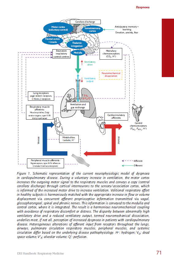 Illustrative page showing text and figure