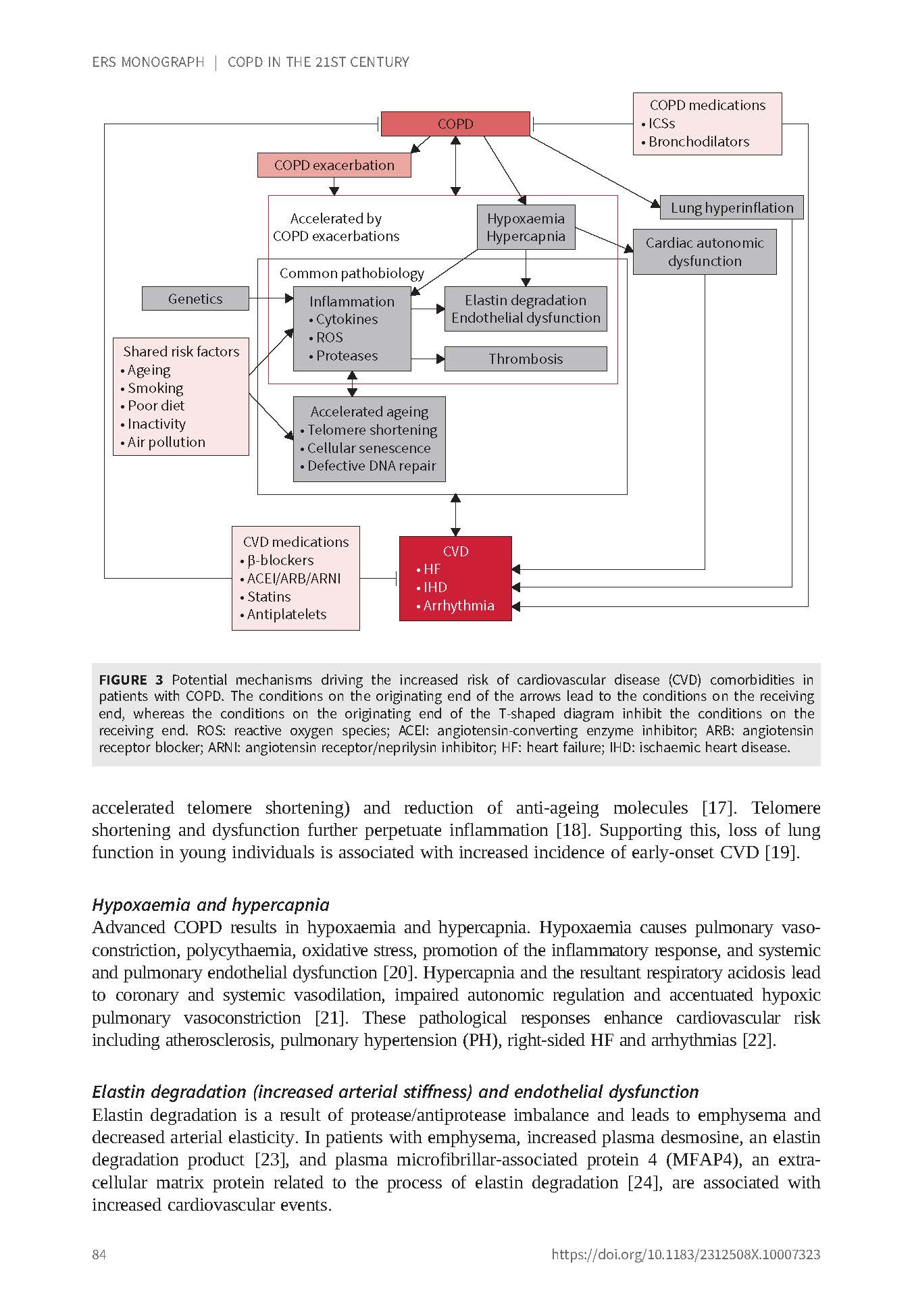 COPD in the 21st Century