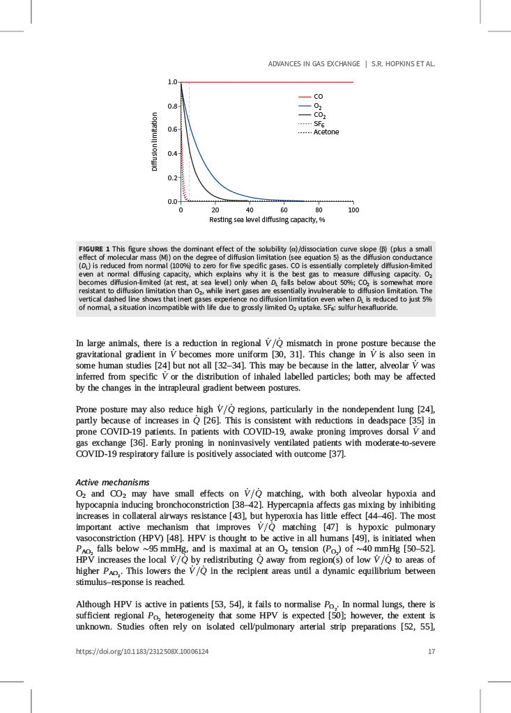 Respiratory Physiology: New Knowledge, Better Diagnosis