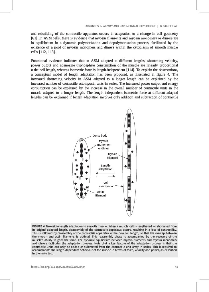 Respiratory Physiology: New Knowledge, Better Diagnosis